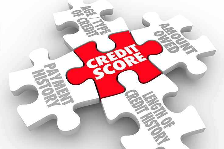 The Credit Score Puzzle: Its Influence on Business Funding