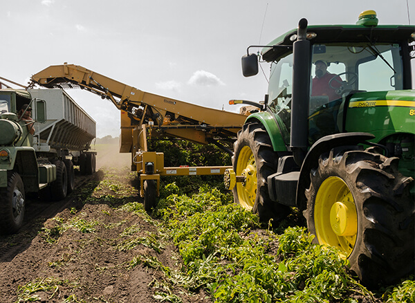 Agricultura