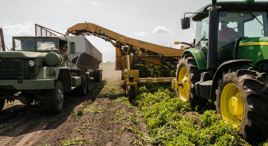 Financiamiento de Negocios Agrícolas